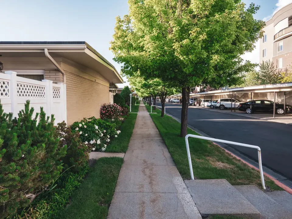 mold removal Highland Village
