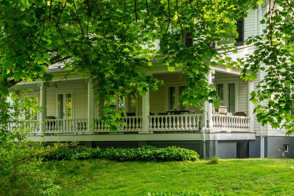 mold removal Lake Dallas