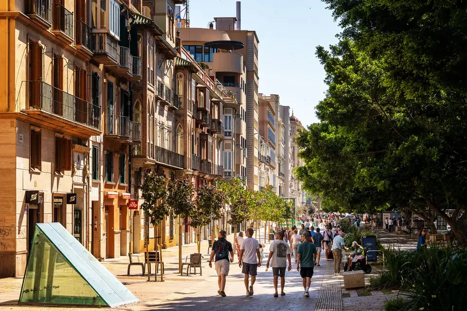 Expert Mold Solutions Tailored to Westlake's Unique Architecture — Westlake, TX