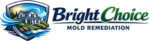 Bright Choice Mold Remediation